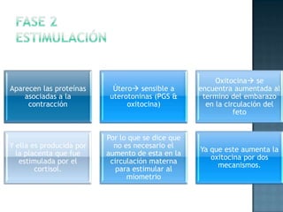 Oxitocina se
Aparecen las proteínas      Útero sensible a      encuentra aumentada al
    asociadas a la         uterotoninas (PGS &      termino del embarazo
     contracción                oxitocina)           en la circulación del
                                                              feto


                          Por lo que se dice que
Y ella es producida por     no es necesario el
                                                   Ya que este aumenta la
  la placenta que fue     aumento de esta en la
                                                      oxitocina por dos
   estimulada por el       circulación materna
                                                        mecanismos.
        cortisol.            para estimular al
                                miometrio
 