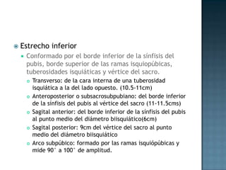    Estrecho inferior
       Conformado por el borde inferior de la sínfisis del
        pubis, borde superior de las ramas isquiopúbicas,
        tuberosidades isquiáticas y vértice del sacro.
           Transverso: de la cara interna de una tuberosidad
            isquiática a la del lado opuesto. (10.5-11cm)
           Anteroposterior o subsacrosubpubiano: del borde inferior
            de la sínfisis del pubis al vértice del sacro (11-11.5cms)
           Sagital anterior: del borde inferior de la sínfisis del pubis
            al punto medio del diámetro biisquiático(6cm)
           Sagital posterior: 9cm del vértice del sacro al punto
            medio del diámetro biisquiático
           Arco subpúbico: formado por las ramas isquiópúbicas y
            mide 90° a 100° de amplitud.
 
