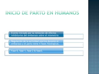 Evento iniciado por la remoción de efectos
inhibitorios del embarazo sobre el miometrio

Regulación de la actividad uterina durante el
embarazo y el parto tiene 4 fases fisiologicas.


Fase 0, fase 1, fase 2 & fase3.
 