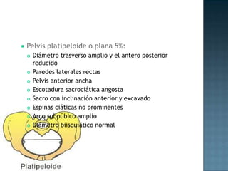   Pelvis platipeloide o plana 5%:
       Diámetro trasverso amplio y el antero posterior
        reducido
       Paredes laterales rectas
       Pelvis anterior ancha
       Escotadura sacrociática angosta
       Sacro con inclinación anterior y excavado
       Espinas ciáticas no prominentes
       Arco subpúbico amplio
       Diámetro biisquiático normal
 