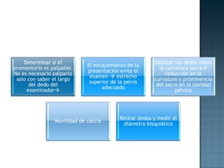 Determinar si el                                    Deslizar los dedos sobre
                             El encajamiento de la
promontorio es palpable.                                  la curvatura sacra
                             presentación evita el
No es necesario palparlo                                     reducción en la
                              examen  estrecho
 solo con saber el largo                                curvatura o prominencia
                              superior de la pelvis
      del dedo del                                       del sacro en la cavidad
                                   adecuado
     examinador                                                 pélvica




                                          Retirar dedos y medir el
                Movilidad de cóccix
                                           diámetro bisquiático
 
