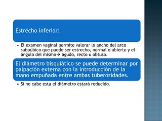 Estrecho inferior:

• El examen vaginal permite valorar lo ancho del arco
  subpúbico que puede ser estrecho, normal o abierto y el
  ángulo del mismo agudo, recto u obtuso.

El diámetro bisquiático se puede determinar por
palpación externa con la introducción de la
mano empuñada entre ambas tuberosidades.
• Si no cabe esta el diámetro estará reducido.
 