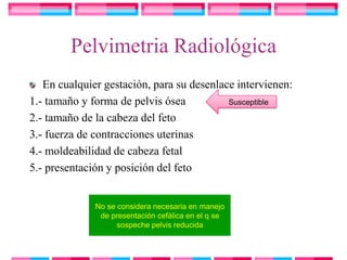 Pelvimetria Radiológica
   En cualquier gestación, para su desenlace intervienen:
1.- tamaño y forma de pelvis ósea          Susceptible

2.- tamaño de la cabeza del feto
3.- fuerza de contracciones uterinas
4.- moldeabilidad de cabeza fetal
5.- presentación y posición del feto


              No se considera necesaria en manejo
               de presentación cefálica en el q se
                    sospeche pelvis reducida
 