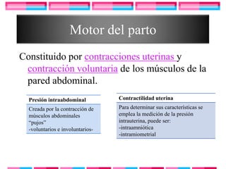 Motor del parto
Constituido por contracciones uterinas y
 contracción voluntaria de los músculos de la
 pared abdominal.
  Presión intraabdominal          Contractilidad uterina
  Creada por la contracción de    Para determinar sus características se
  músculos abdominales            emplea la medición de la presión
  “pujos”                         intrauterina, puede ser:
  -voluntarios e involuntarios-   -intraamniótica
                                  -intramiometrial
 