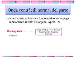 Onda contráctil normal del parto
La contracción se inicia en fondo uterino, se propaga
  rápidamente al resto del órgano. Aprox 15s

                          zona del útero donde de inicia
Marcapasos                  la contracción, derecho o
                                     izquierdo
  funcional
 