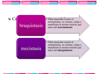 Cambios en célula miometrial el
                  • Fibra muscular resiste
                        estiramiento, se contrae, relaja y
                        manifiesta la misma tensión que
     braquistasis       antes del acortamiento




                       • Fibra muscular resiste el
                         estiramiento, se contrae, relaja y
                         manifiesta la misma tensión que
      mecistasis         antes del alargamiento
 