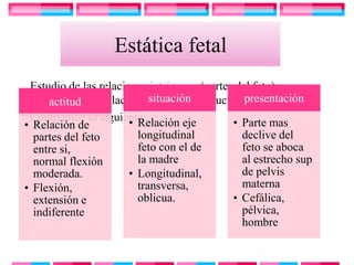 Estática fetal
 Estudio de las relaciones intrínsecas(partes del feto) y
                            situación           presentación
    extrínsecas (relación de feto en conducto genital).
     actitud
 Comprende lo siguiente:
                       • Relación eje        • Parte mas
• Relación de
  partes del feto        longitudinal          declive del
  entre si,              feto con el de        feto se aboca
  normal flexión         la madre              al estrecho sup
  moderada.            • Longitudinal,         de pelvis
• Flexión,               transversa,           materna
  extensión e            oblicua.            • Cefálica,
  indiferente                                  pélvica,
                                               hombre
 