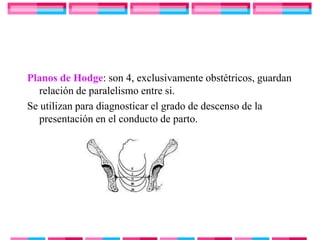 Planos de Hodge: son 4, exclusivamente obstétricos, guardan
   relación de paralelismo entre si.
Se utilizan para diagnosticar el grado de descenso de la
   presentación en el conducto de parto.
 