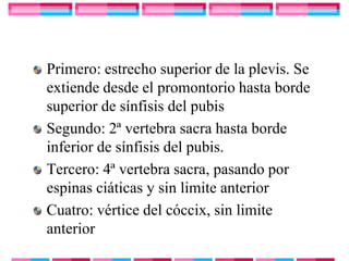 Primero: estrecho superior de la plevis. Se
extiende desde el promontorio hasta borde
superior de sínfisis del pubis
Segundo: 2ª vertebra sacra hasta borde
inferior de sínfisis del pubis.
Tercero: 4ª vertebra sacra, pasando por
espinas ciáticas y sin limite anterior
Cuatro: vértice del cóccix, sin limite
anterior
 