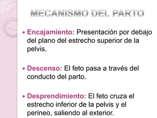    Encajamiento: Presentación por debajo
    del plano del estrecho superior de la
    pelvis.

   Descenso: El feto pasa a través del
    conducto del parto.

   Desprendimiento: El feto cruza el
    estrecho inferior de la pelvis y el
    perineo, saliendo al exterior.
 