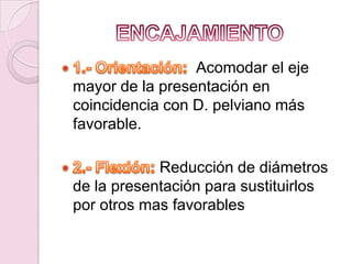 Acomodar el eje
mayor de la presentación en
coincidencia con D. pelviano más
favorable.

            Reducción de diámetros
de la presentación para sustituirlos
por otros mas favorables
 