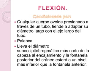  Cualquier cuerpo ovoide presionado a
  través de un tubo, tiende a adaptar su
  diámetro largo con el eje largo del
  tubo.
 Palanca.
 Lleva el diámetro
  suboccipitobregmático más corto de la
  cabeza al encajamiento y la fontanela
  posterior del cráneo estará a un nivel
  mas inferior que la fontanela anterior.
 
