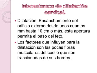  Dilatación: Ensanchamiento del
  orificio externo desde unos cuantos
  mm hasta 10 cm o más, esta apertura
  permita el paso del feto.
 Los factores que influyen para la
  dilatación son las pocas fibras
  musculares del cuello que son
  traccionadas de sus bordes.
 