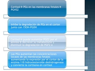 Cortisol PGs en las membranas fetales
PGHS2




Inhibe la degradación de PGs en el corion
junto con 15OH-PGDH



Cortisol puede aumentar PGE2 por el
amnios & decrecer su metabolismo y
disminuir la degradación de PGF2 α


Las PGs aumentan las concentraciones
locales de las membranas fetales
aumentando la expresión por el corion de la
enzima 11β hidroxiesteroide deshidrogenasa
y convierte la cortisona en cortisol
 