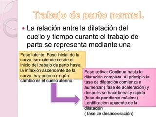  La relación entre la dilatación del
   cuello y tiempo durante el trabajo de
   parto se representa mediante una
Fase latente:sigmoide. la
   curva Fase inicial de
curva, se extiende desde el
inicio del trabajo de parto hasta
la inflexión ascendente de la     Fase activa: Continua hasta la
curva; hay poco o ningún          dilatación completa. Al principio la
cambio en el cuello uterino.      tasa de dilatación comienza a
                                  aumentar ( fase de aceleración) y
                                  después se hace lineal y rápida
                                  (fase de pendiente máxima)
                                  Lentificación aparente de la
                                  dilatación
                                  ( fase de desaceleración)
 