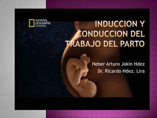 Heber Arturo Jokin Hdez
  Dr. Ricardo Hdez. Lira
 