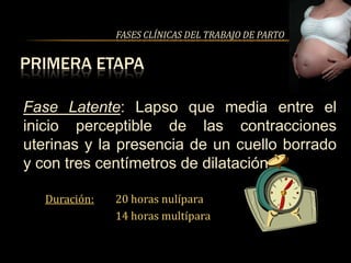FASES CLÍNICAS DEL TRABAJO DE PARTO


PRIMERA ETAPA

Fase Latente: Lapso que media entre el
inicio perceptible de las contracciones
uterinas y la presencia de un cuello borrado
y con tres centímetros de dilatación.

   Duración:   20 horas nulípara
               14 horas multípara
 