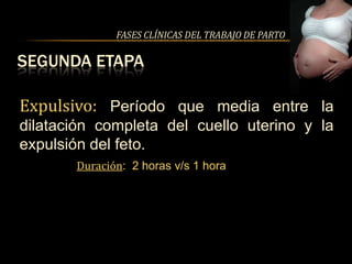 FASES CLÍNICAS DEL TRABAJO DE PARTO

SEGUNDA ETAPA

Expulsivo: Período que media entre la
dilatación completa del cuello uterino y la
expulsión del feto.
       Duración: 2 horas v/s 1 hora
 