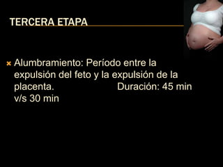 TERCERA ETAPA


   Alumbramiento: Período entre la
    expulsión del feto y la expulsión de la
    placenta.                Duración: 45 min
    v/s 30 min
 
