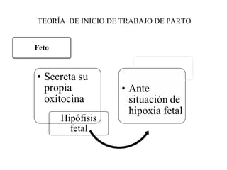 TEORÍA DE INICIO DE TRABAJO DE PARTO
 