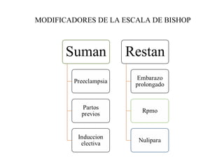 MODIFICADORES DE LA ESCALA DE BISHOP
 