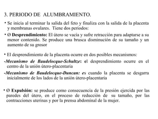 3. PERIODO DE ALUMBRAMIENTO.
• Se inicia al terminar la salida del feto y finaliza con la salida de la placenta
y membranas ovulares. Tiene dos periodos:
• Ø Desprendimiento: El útero se vacía y sufre retracción para adaptarse a su
menor contenido. Se produce una brusca disminución de su tamaño y un
aumento de su grosor
• El desprendimiento de la placenta ocurre en dos posibles mecanismos:
-Mecanismo de Baudelocque-Schultze: el desprendimiento ocurre en el
centro de la unión útero-placentaria
-Mecanismo de Baudelocque-Duncan: es cuando la placenta se desgarra
inicialmente de los lados de la unión útero-placentaria
• Ø Expulsión: se produce como consecuencia de la presión ejercida por las
paredes del útero, en el proceso de reducción de su tamaño, por las
contracciones uterinas y por la prensa abdominal de la mujer.
 