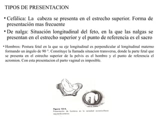 TIPOS DE PRESENTACION
• Cefálica: La cabeza se presenta en el estrecho superior. Forma de
presentación mas frecuente
• De nalga: Situación longitudinal del feto, en la que las nalgas se
presentan en el estrecho superior y el punto de referencia es el sacro
• Hombros: Postura fetal en la que su eje longitudinal es perpendicular al longitudinal materno
formando un ángulo de 90 °. Constituye la llamada situacion transversa, donde la parte fetal que
se presenta en el estrecho superior de la pelvis es el hombro y el punto de referencia el
acromion. Con esta presentacion el parto vaginal es imposible.
 