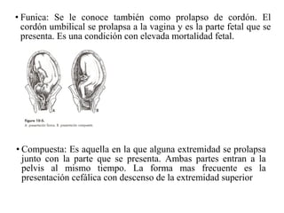 • Funica: Se le conoce también como prolapso de cordón. El
cordón umbilical se prolapsa a la vagina y es la parte fetal que se
presenta. Es una condición con elevada mortalidad fetal.
• Compuesta: Es aquella en la que alguna extremidad se prolapsa
junto con la parte que se presenta. Ambas partes entran a la
pelvis al mismo tiempo. La forma mas frecuente es la
presentación cefálica con descenso de la extremidad superior
 