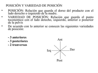 POSICIÓN Y VARIEDAD DE POSICIÓN
• POSICIÓN: Relación que guarda el dorso del producto con el
lado derecho o izquierdo de la madre.
• VARIEDAD DE POSICIÓN: Relación que guarda el punto
toconomico con el lado derecho, izquierdo, anterior o posterior
de la pelvis
• De acuerdo con lo anterior se conocen las siguientes variedades
de posición:
- 3 anteriores
- 3 posteriores
- 2 tranversas
Ant
Post
DerIzq
 