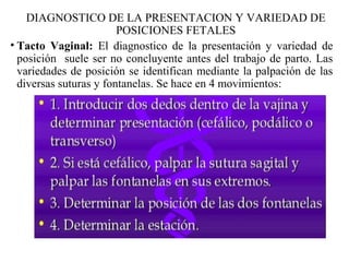 • Tacto Vaginal: El diagnostico de la presentación y variedad de
posición suele ser no concluyente antes del trabajo de parto. Las
variedades de posición se identifican mediante la palpación de las
diversas suturas y fontanelas. Se hace en 4 movimientos:
DIAGNOSTICO DE LA PRESENTACION Y VARIEDAD DE
POSICIONES FETALES
 
