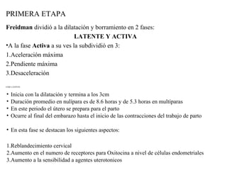 PRIMERA ETAPA
Freidman dividió a la dilatación y borramiento en 2 fases:
LATENTE Y ACTIVA
•A la fase Activa a su ves la subdividió en 3:
1.Aceleración máxima
2.Pendiente máxima
3.Desaceleración
FASE LATENTE
• Inicia con la dilatación y termina a los 3cm
• Duración promedio en nulípara es de 8.6 horas y de 5.3 horas en multíparas
• En este periodo el útero se prepara para el parto
• Ocurre al final del embarazo hasta el inicio de las contracciones del trabajo de parto
• En esta fase se destacan los siguientes aspectos:
1.Reblandecimiento cervical
2.Aumento en el numero de receptores para Oxitocina a nivel de células endometriales
3.Aumento a la sensibilidad a agentes uterotonicos
 
