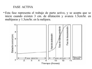 FASE ACTIVA
• Esta fase representa el trabajo de parto activo, y se acepta que se
inicie cuando existen 3 cm. de dilatación y avanza 1.5cm/hr. en
multíparas y 1.3cm/hr. en la nulípara.
 
