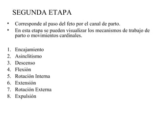 SEGUNDA ETAPA
• Corresponde al paso del feto por el canal de parto.
• En esta etapa se pueden visualizar los mecanismos de trabajo de
parto o movimientos cardinales.
1. Encajamiento
2. Asinclitismo
3. Descenso
4. Flexión
5. Rotación Interna
6. Extensión
7. Rotación Externa
8. Expulsión
 