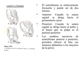 ASINCLITISMO
• El asinclitismo es relativamente
frecuente y puede ser de dos
formas:
• Anterior: Cuando la sutura
sagital se dirige hacia el
promontorio sacro
• Posterior: Cuando la sutura
sagital se dirige hacia el pubis y
el hueso que se palpa es el
parietal posterior
• Los cambios sucesivos de
asinclitismo anterior a posterior,
permiten ofrecer al feto sus
menores diámetros a los mayores
de la pelvis
 