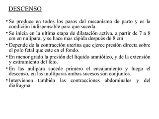 DESCENSO
• Se produce en todos los pasos del mecanismo de parto y es la
condición indispensable para que suceda.
• Se inicia en la ultima etapa de dilatación activa, a partir de 7 a 8
cm en nulípara, y se hace mas rápida después de 8 cm
• Depende de la contracción uterina que ejerce presión directa sobre
el polo fetal que este en el fondo.
• En menor grado la presión del liquido amniótico, y de la extensión
y estiramiento del feto.
• En las nulípara sucede primero el encajamiento y luego el
descenso, en las multíparas ambas sucesos son conjuntos.
• Intervienen también las contracciones abdominales y del
diafragma.
 
