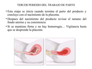• Esta etapa se inicia cuando termina el parto del producto y
concluye con el nacimiento de la placenta.
• Despues del nacimiento del producto revisar el tamano del
fondo uterino y su consistencia
• Si se mantiene firme y no hay hemorragia… Vigilancia hasta
que se desprende la placenta
TERCER PERIODO DEL TRABAJO DE PARTO
 