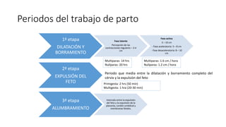 Periodos del trabajo de parto
1ª etapa
DILATACIÓN Y
BORRAMIENTO
Fase latente
Percepción de las
contracciones regulares – 3-4
cm
Fase activa
3 – 10 cm
- Fase aceleratoria: 3 – 8 cm
- Fase desaceleratoria: 8 – 10
cm
2ª etapa
EXPULSIÓN DEL
FETO
3ª etapa
ALUMBRAMIENTO
Intervalo entre la expulsión
del feto y la expulsión de la
placenta, cordón umbilical y
membranas fetales.
Multiparas: 14 hrs
Nulíparas: 20 hrs
Multiparas: 1.6 cm / hora
Nulíparas: 1.2 cm / hora
Periodo que media entre la dilatación y borramiento completo del
cérvix y la expulsión del feto
Primigesta: 2 hrs (50 min)
Multigesta: 1 hra (20-30 min)
 
