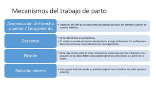 Mecanismos del trabajo de parto
• Descenso del DBP de la cabeza fetal por debajo del plano del estrecho superior de
la pelvis materna.
Acomodación al estrecho
superior / Encajamiento
• De la cabeza fetal al suelo pélvico.
• En nulíparas sucede primero el encajamiento y luego el descenso. En multíparas el
descenso comienza conjuntamente con el encajamiento.
Descenso
• De la cabeza fetal sobre el tórax, movimiento pasivo que permite al diámetro más
pequeño de la cabeza fetal (suboccipitobregmativo) presentarse a la pelvis de la
madre.
Flexión
• El occipucio fetal rota desde su posición original hacia la sínfisis del pubis (occipito
anterior)Rotación interna
 