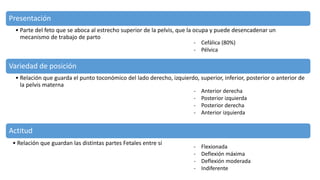Presentación
• Parte del feto que se aboca al estrecho superior de la pelvis, que la ocupa y puede desencadenar un
mecanismo de trabajo de parto
Variedad de posición
• Relación que guarda el punto toconómico del lado derecho, izquierdo, superior, inferior, posterior o anterior de
la pelvis materna
Actitud
- Cefálica (80%)
- Pélvica
- Anterior derecha
- Posterior izquierda
- Posterior derecha
- Anterior izquierda
• Relación que guardan las distintas partes Fetales entre sí
- Flexionada
- Deflexión máxima
- Deflexión moderada
- Indiferente
 