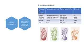 Punto óseo
que sirve para
determinar la
variedad de
posición de la
presentación
Punto
toconómico
Variedad
de
posición
Punto de referencia Punto toconómico Diámetro
Vértice Fontanela posterior Occipital 9.5
Bregma Fontanela anterior Sincipucio 12.5
Frente Frente Naríz 13.5
Cara Nariz Mentón 9.5
Presentaciones cefálicas
 