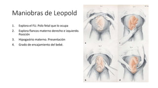 Maniobras de Leopold
1. Explora el FU. Polo fetal que lo ocupa
2. Explora flancos materno derecho e izquierdo.
Posición
3. Hipogastrio materno. Presentación
4. Grado de encajamiento del bebé.
 