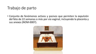 Trabajo de parto
• Conjunto de fenómenos activos y pasivos que permiten la expulsión
del feto de 22 semanas o más por vía vaginal, incluyendo la placenta y
sus anexos (NOM-0007).
 
