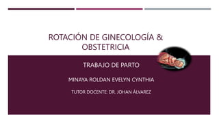ROTACIÓN DE GINECOLOGÍA &
OBSTETRICIA
TRABAJO DE PARTO
MINAYA ROLDAN EVELYN CYNTHIA
TUTOR DOCENTE: DR. JOHAN ÁLVAREZ
 