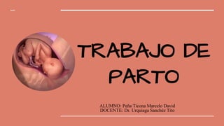 TRABAJO DE
PARTO
ALUMNO: Peña Ticona Marcelo David
DOCENTE: Dr. Urquiaga Sanchéz Tito
 