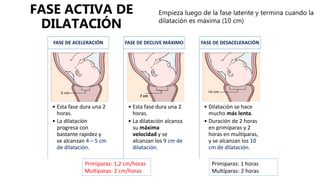 Trabajo de parto stephanie | PPTX