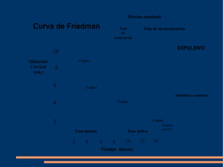 Máxima pendiente 
Fase latente 
2 4 6 8 10 12 14 
Tiempo (horas) 
Dilatación 
Cervical 
(cm.) 
10 
8 
6 
4 
2 
Fase activa 
Secundo 
periodo 
Fase 
de 
aceleración 
Fase de desaceleración 
EXPULSIVO 
Curva de Friedman 
1º plano 
2º plano 
3º plano 
Deflexión y expulsivo 
4º plano 
 