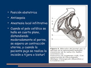  Posición obstetrica 
 Antisepsia 
 Anestesia local infiltrativa 
 Cuando el polo cefálico se 
halla en cuarto plano, 
distendiendo 
moderadamente el perine, 
se espera un contracción 
uterina, y cuando la 
paciente puja se realiza la 
incisión a tijera o bisturí 
 