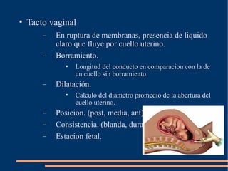  Tacto vaginal 
- En ruptura de membranas, presencia de liquido 
claro que fluye por cuello uterino. 
- Borramiento. 
 Longitud del conducto en comparacion con la de 
un cuello sin borramiento. 
- Dilatación. 
 Calculo del diametro promedio de la abertura del 
cuello uterino. 
- Posicion. (post, media, ant) 
- Consistencia. (blanda, dura) 
- Estacion fetal. 
 