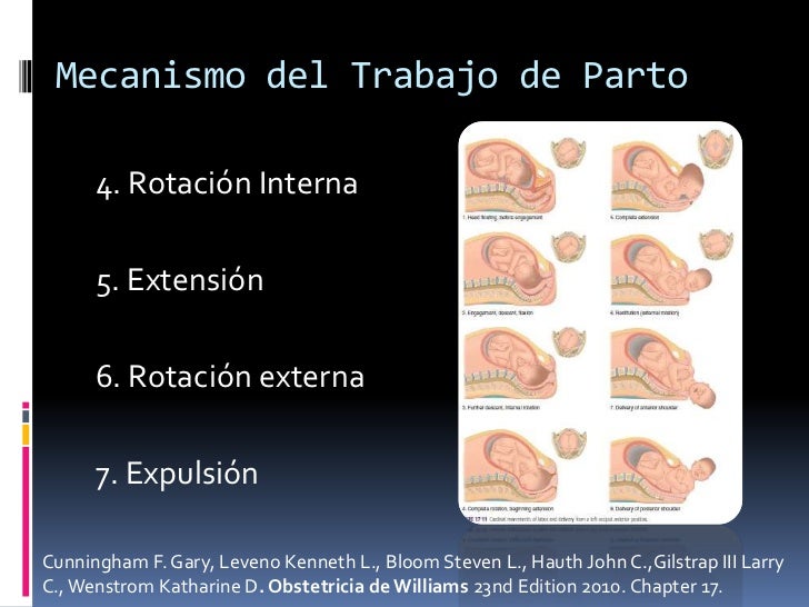 Mecanismo y Atencion del Trabajo de Parto (2013)