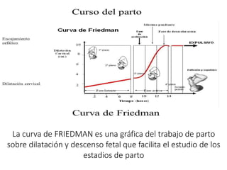 trabajo de parto Kirsy.pptx